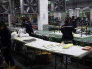 Production Line